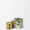Midi Earl Grey Scented Candle Midi Earl Grey Scented Candle