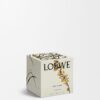Midi Sweet Almond Candle
