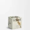 Midi Sweet Almond Scented Candle