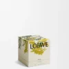 Mimosa Scented Candle Mimosa Scented Candle