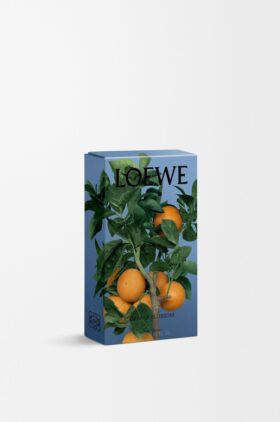 Orange Blossom room spray