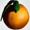 Medium Orange Blossom Candle