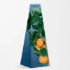 Orange Blossom Wax Candleholder