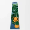 Orange Blossom Wax Candleholder