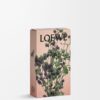 Oregano room spray