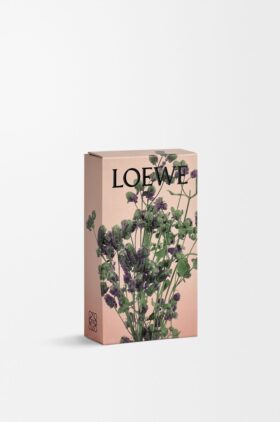 Oregano room spray