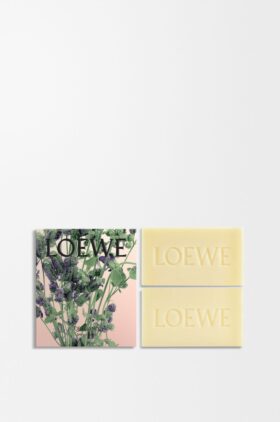 Oregano Soap Bar Duo Set