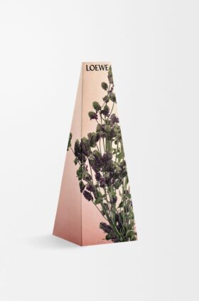 Oregano wax candleholder