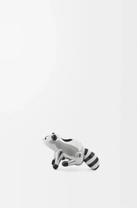 Raccoon Dice