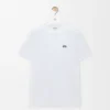 Regular Fit T-Shirt in Cotton Regular Fit T-Shirt in Cotton
