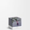 Small Beetroot Candle