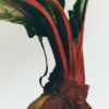 Large Beetroot Candle