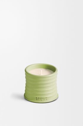 Small Cucumber Candle