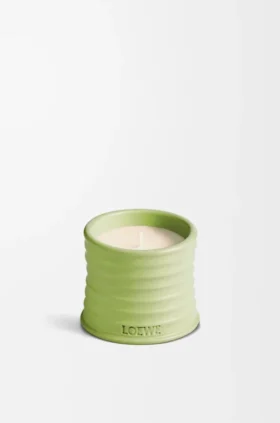 Small Cucumber Candle