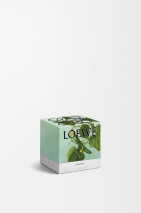 Small Cucumber Candle