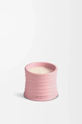 Small Ivy Candle