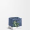 Small Ivy Candle