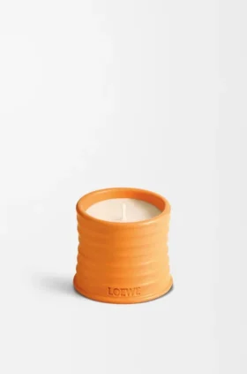 Small Orange Blossom Candle