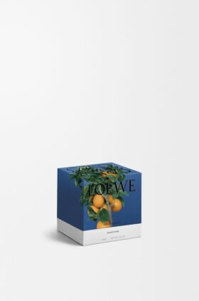 Small Orange Blossom Candle