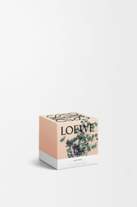 Small Oregano Candle