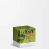 Small Pistacchio Candle