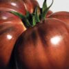 Medium Tomato Leaves Candle