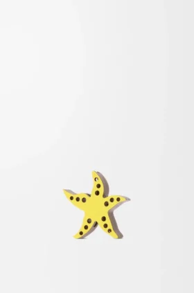 Starfish Dice in Calfskin