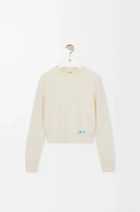 Sweater in Wool