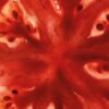 Tomato Leaves Incense Set