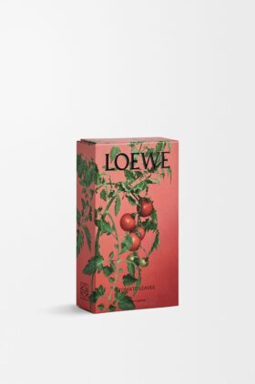 Tomato Leaves room spray