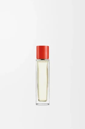 Tomato Leaves Room Spray