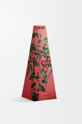 Tomato Leaves wax candleholder
