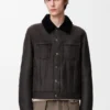 Trucker Jacket in Shearling